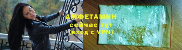 прущие грибы Балахна