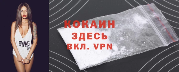 хмурый Белокуриха