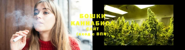 PSILOCYBIN Баксан