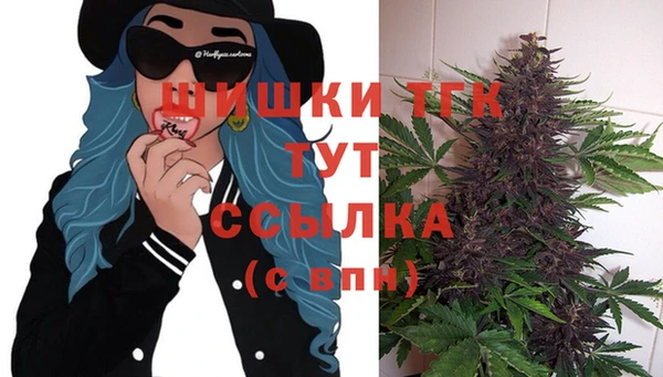 хмурый Белокуриха