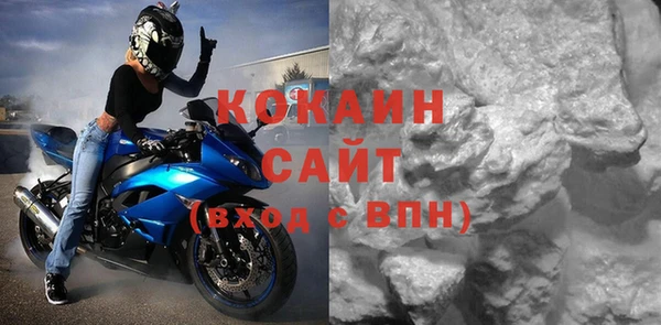 хмурый Белокуриха