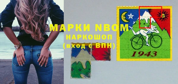 хмурый Белокуриха