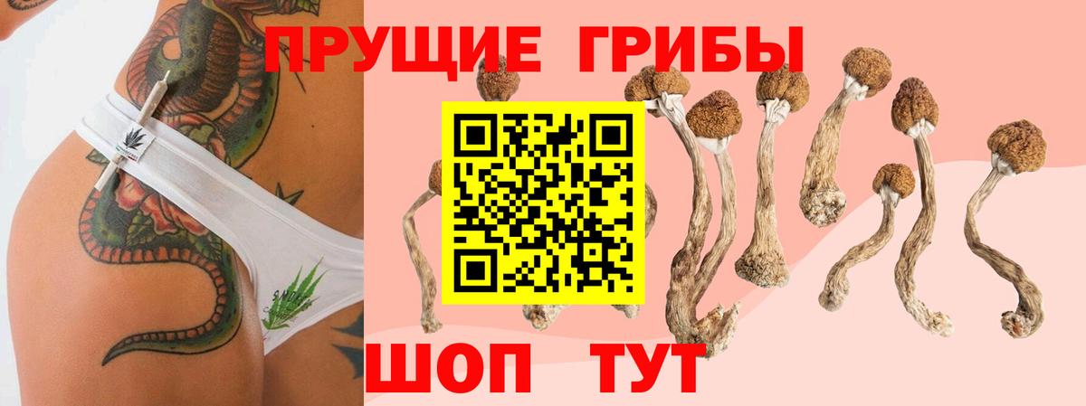 как найти закладки  Вход с VPN  Реутов  Галлюциногенные грибы Magic Shrooms 